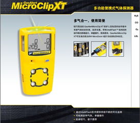 加拿大BW四合一气体检测仪MC2-4 价格、规格型号与性能解析